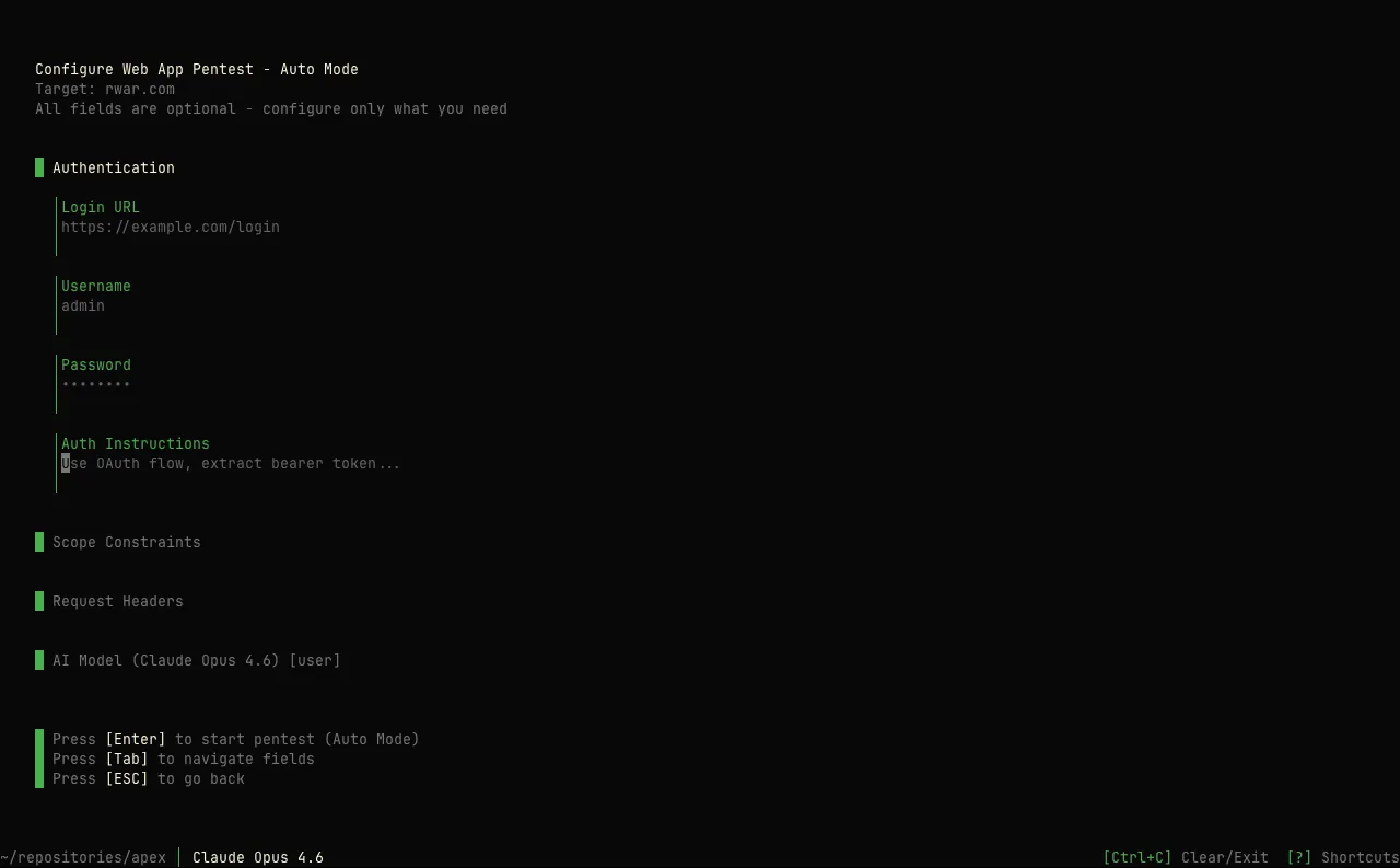 Pentest wizard — optional configuration (auth, scope, headers)