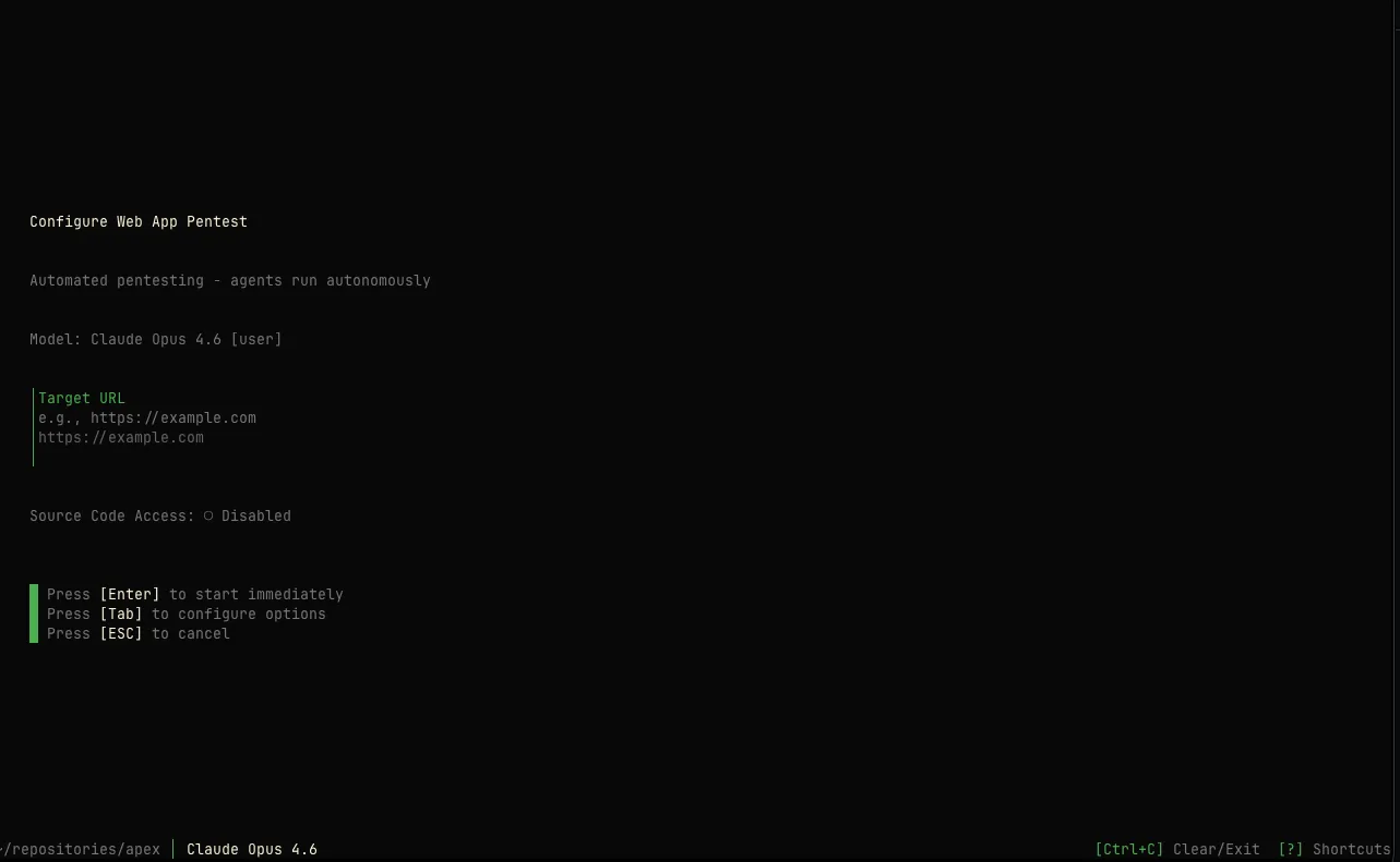 Pentest wizard — target configuration step